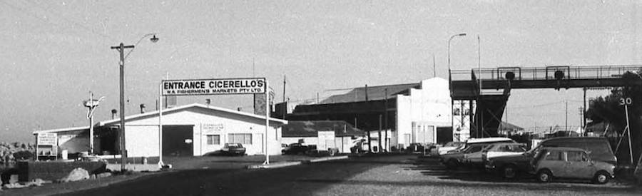 cicerellos