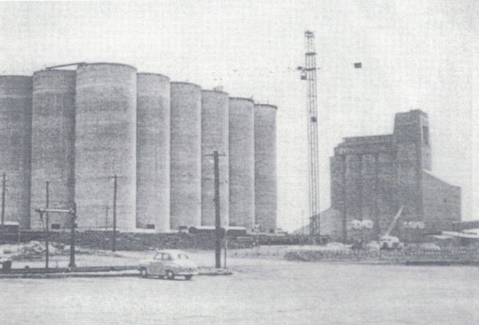 bizzaca2