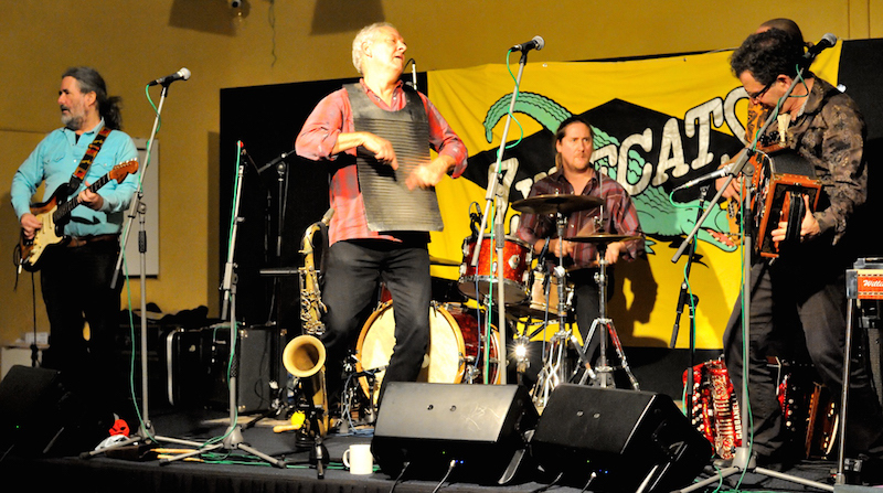 File:Freotopia clubs freoworkers images zydecats.jpg