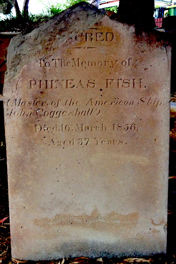 PhineasFish