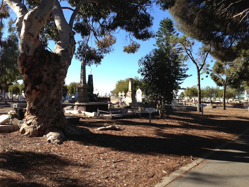 File:Freotopia cemeteries img jewish general1.jpg