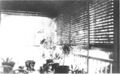 Thumbnail for version as of 01:09, 24 June 2024