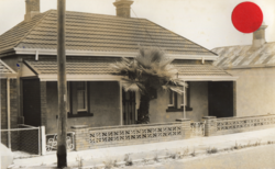 No. 65