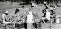 Thumbnail for version as of 08:17, 23 April 2026