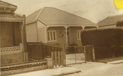 No. 56