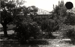 No. 56