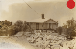 No. 50