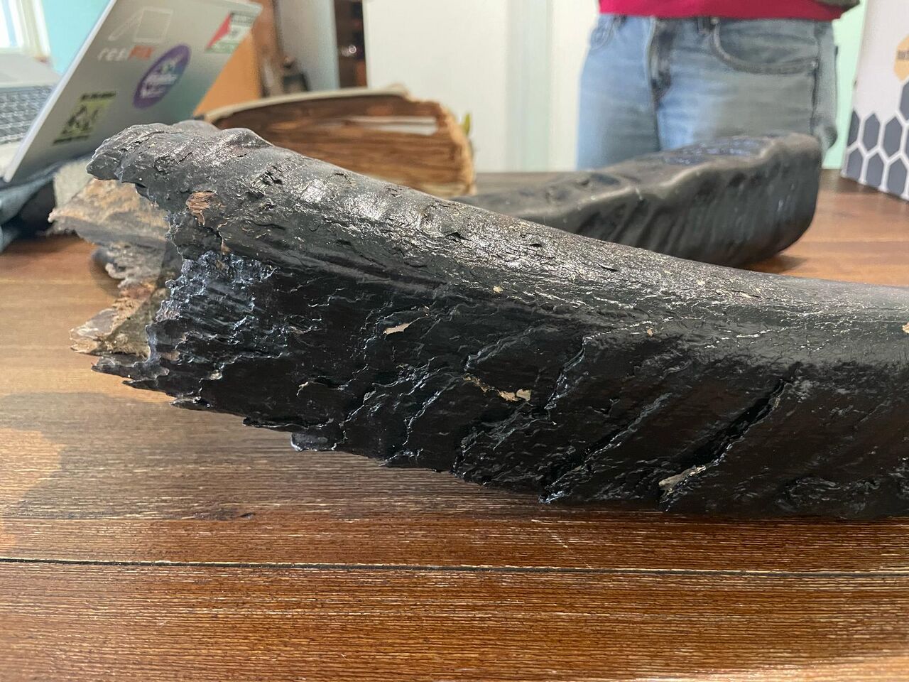 File:BUFF2025-41 (pic 07).jpg