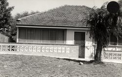 No. 11