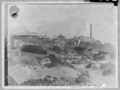 Thumbnail for version as of 11:13, 31 December 2024
