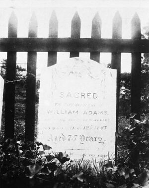 adams