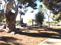 Thumbnail for version as of 10:49, 22 June 2024