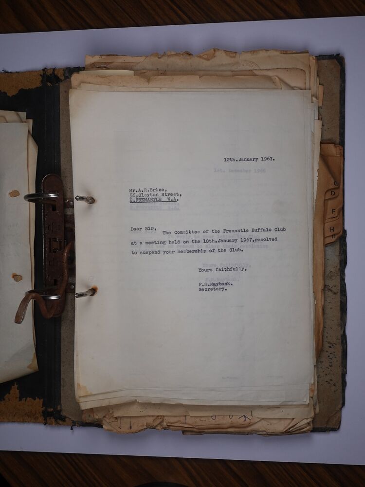 File:BUFF2024-1 013.JPG