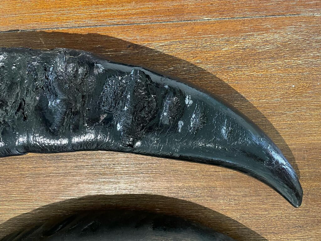 File:BUFF2025-41 (pic 04).jpg