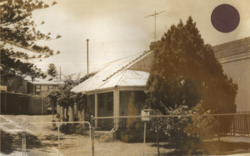No. 50