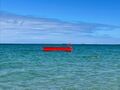 Thumbnail for version as of 01:44, 24 June 2024