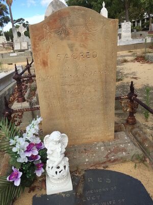 adams stone