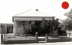 No. 52