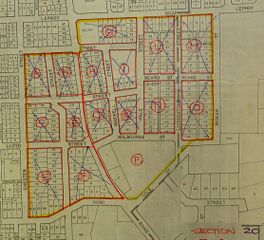 Section 20