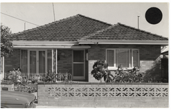 No. 11