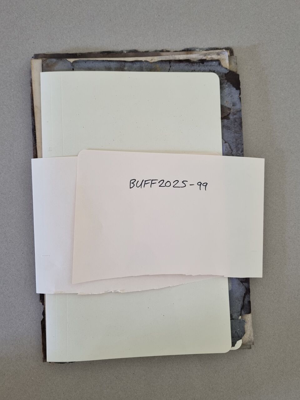 File:20260913 134050.jpg