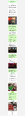 Thumbnail for version as of 05:47, 10 August 2025