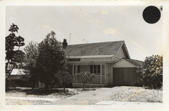 No. 8