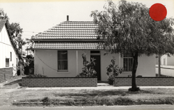 No. 19