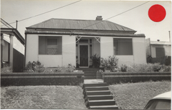 No. 5