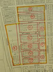 Section 19