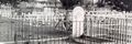 Thumbnail for version as of 10:46, 22 June 2024