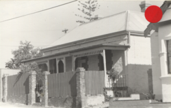 No. 29