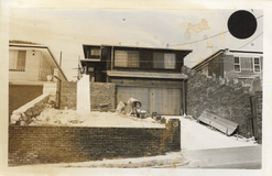 No. 11